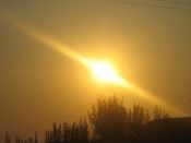 Kategorie: �������