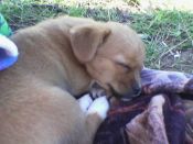 Kategorie: �������� �������