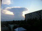 Kategorie: �����