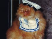 Kategorie: �������� �������