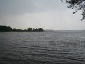 Kategorie: 