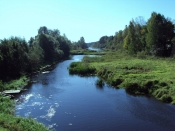 Kategorie: 