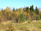 Kategorie: �������