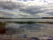 Kategorie: �������