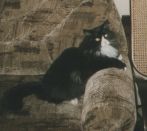 Kategorie: �������� �������