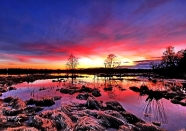 Kategorie: 