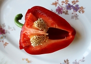 Kategorie: ������