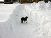 Kategorie: �������� �������