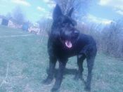 Kategorie: �������� �������