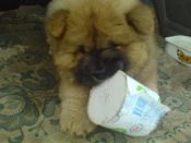 Kategorie: �������� �������