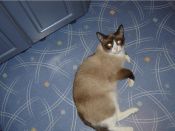 Kategorie: �������� �������