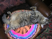 Kategorie: �������� �������