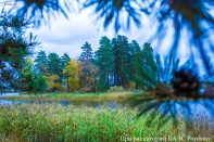 Kategorie: 
