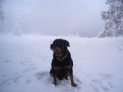 Kategorie: �������� �������