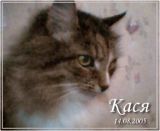 Kategorie: �������� �������