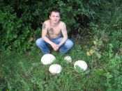 Kategorie: ����