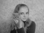 Kategorie: ׸-