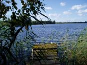 Kategorie: 
