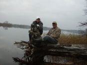 Kategorie: ����