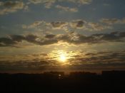 Kategorie: �����