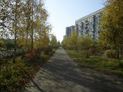 Kategorie: �����