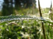 Kategorie: ���������