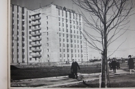 Kategorie: �������� �. ������