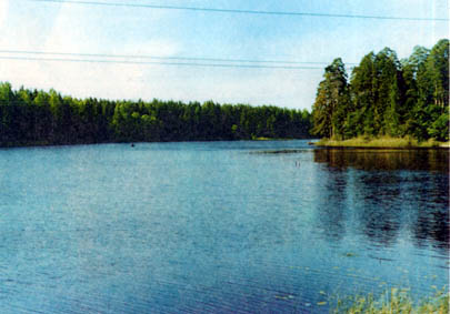 ����� ��������