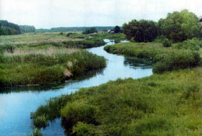 ���� �������